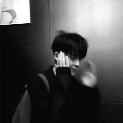 Furry绘画光影灵感福瑞群